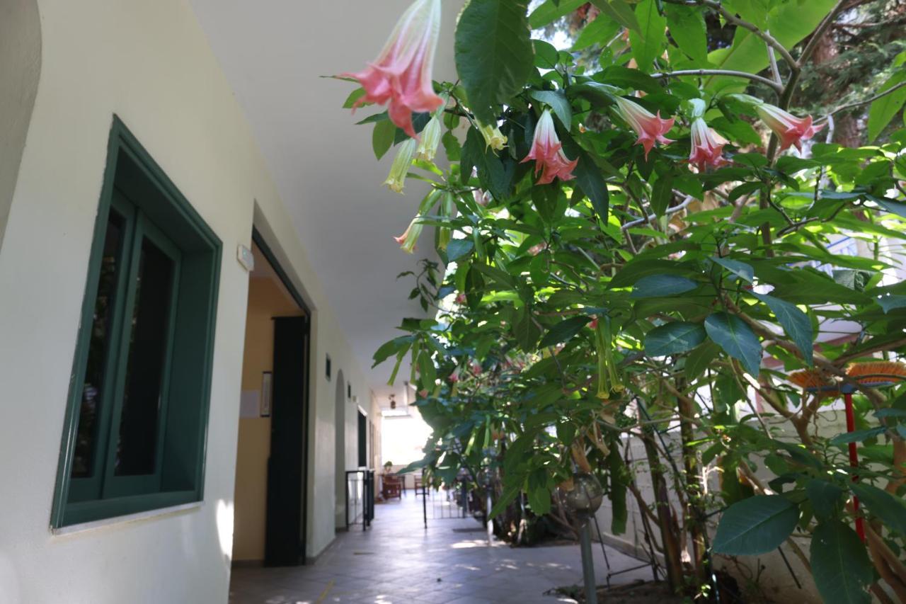Spanos Apartments Anna'S Lodge Полихроно Екстериор снимка